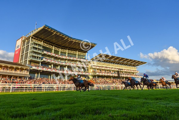 260724-Race 6-Duran-1162 - Race 6 8.20pm Sky Bet Go-Racing-In-Yorkshire Summer Festival Handicap