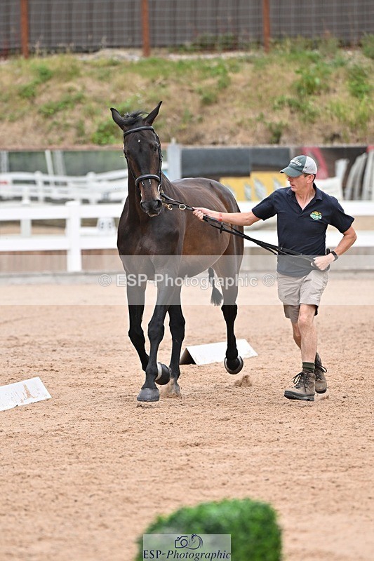 250716-141734-00995 - Trot Up 1.30 to 2.30