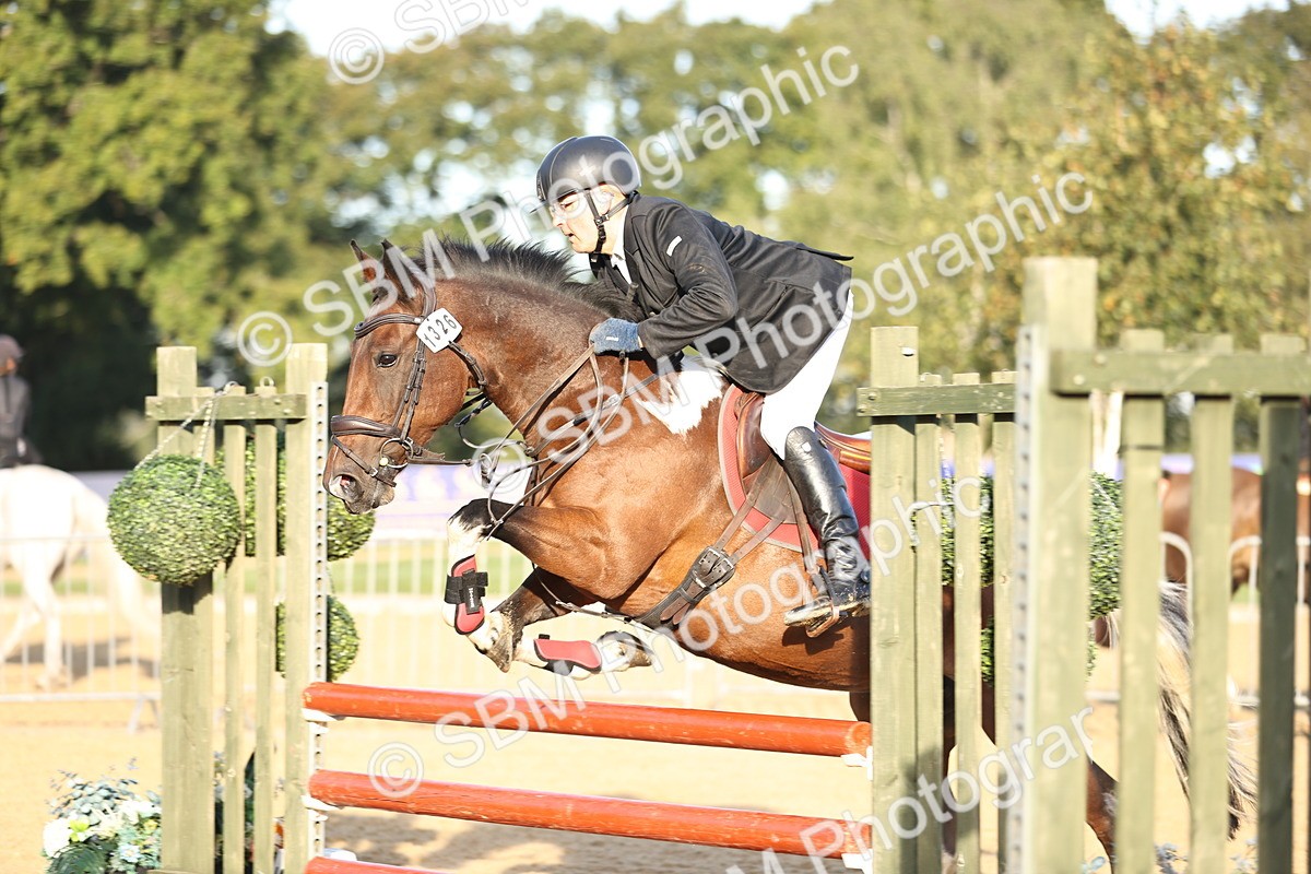 SBM_33065 - J38 - Senior 80cm Championship