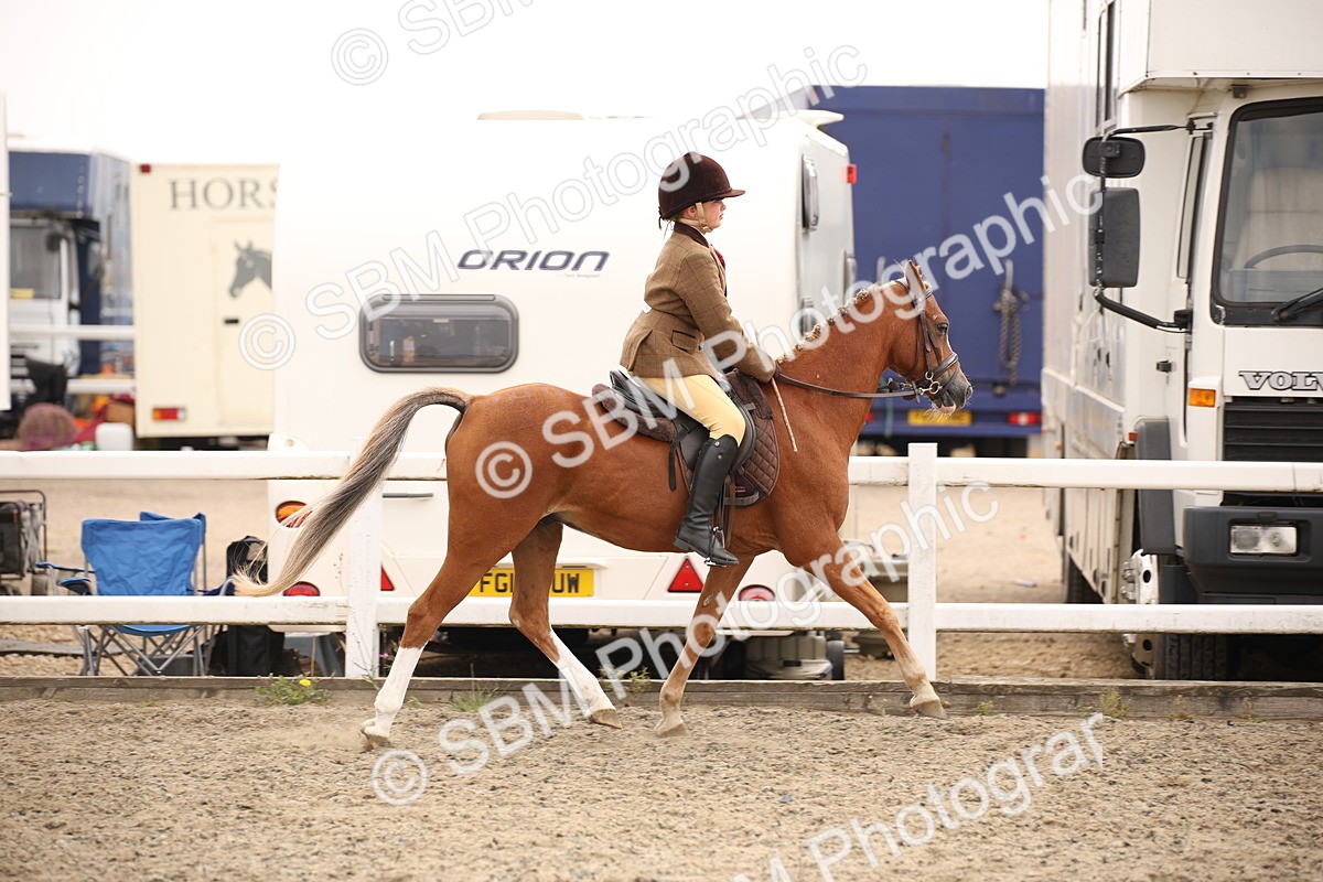 SBM_12630 - Class 405b - M&M Working Veteran 50cm 20+