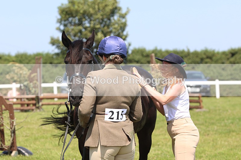 JPP_2839 - Class 21: Working Hunter 60cm