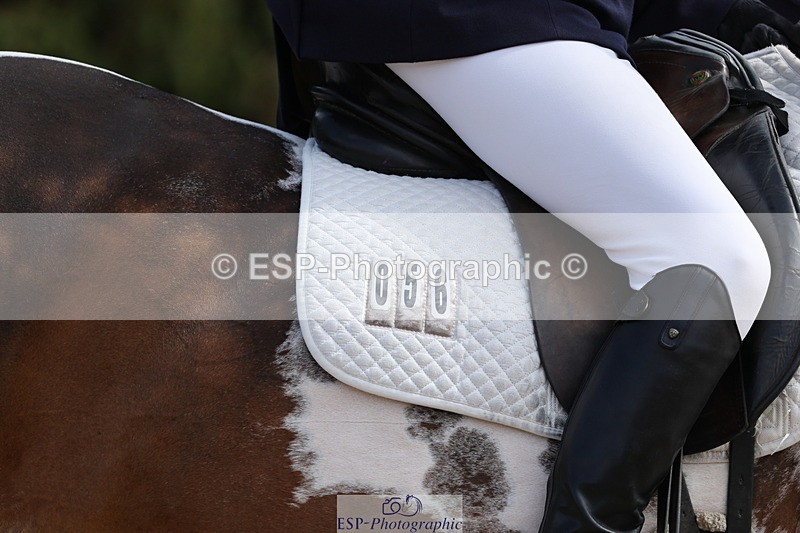 250809A-151803-04259 - 056-Debbie.SquiresMystic.Spirit