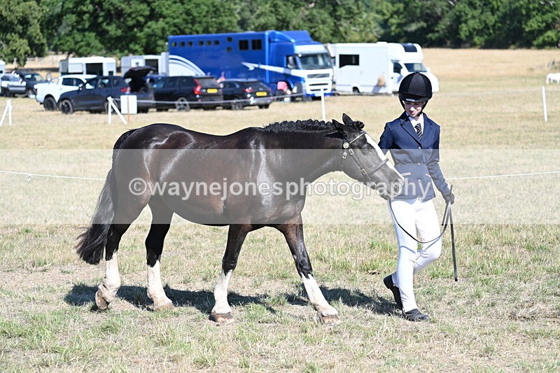 WJ7_2016 - Class 44 Child's Best Friend