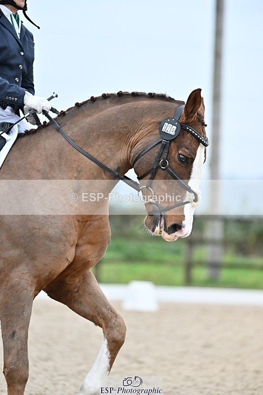 241103-153514-03166 - Novice 1 - 14.44 to 16.08
