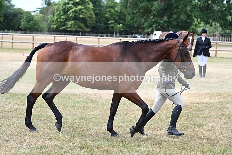 WJ7_1914 - Class 4a Prettiest Mare 14.2hh and over hand