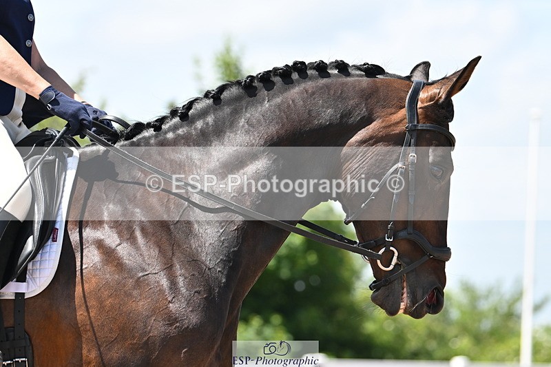 240621A-135941-03816 - Cls 11 BD Medium 73