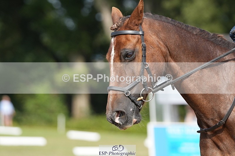 250823A-154032-32333 - PC70 Ride Off