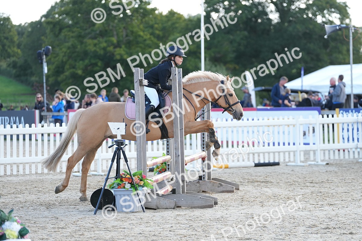 SBM_50944 - J8 - Junior Pony 65cm Championship