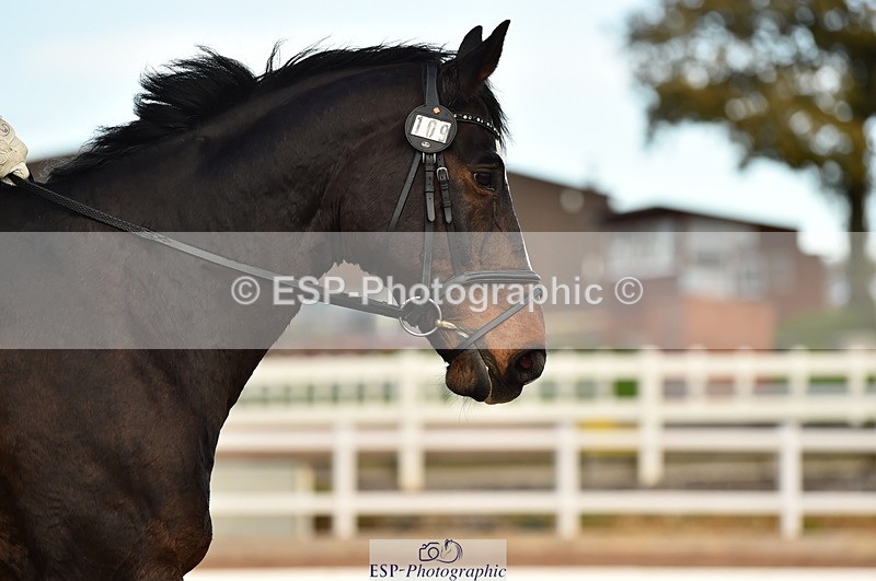 231104A-152524-02350 - Cls 14 Adv Medium 98