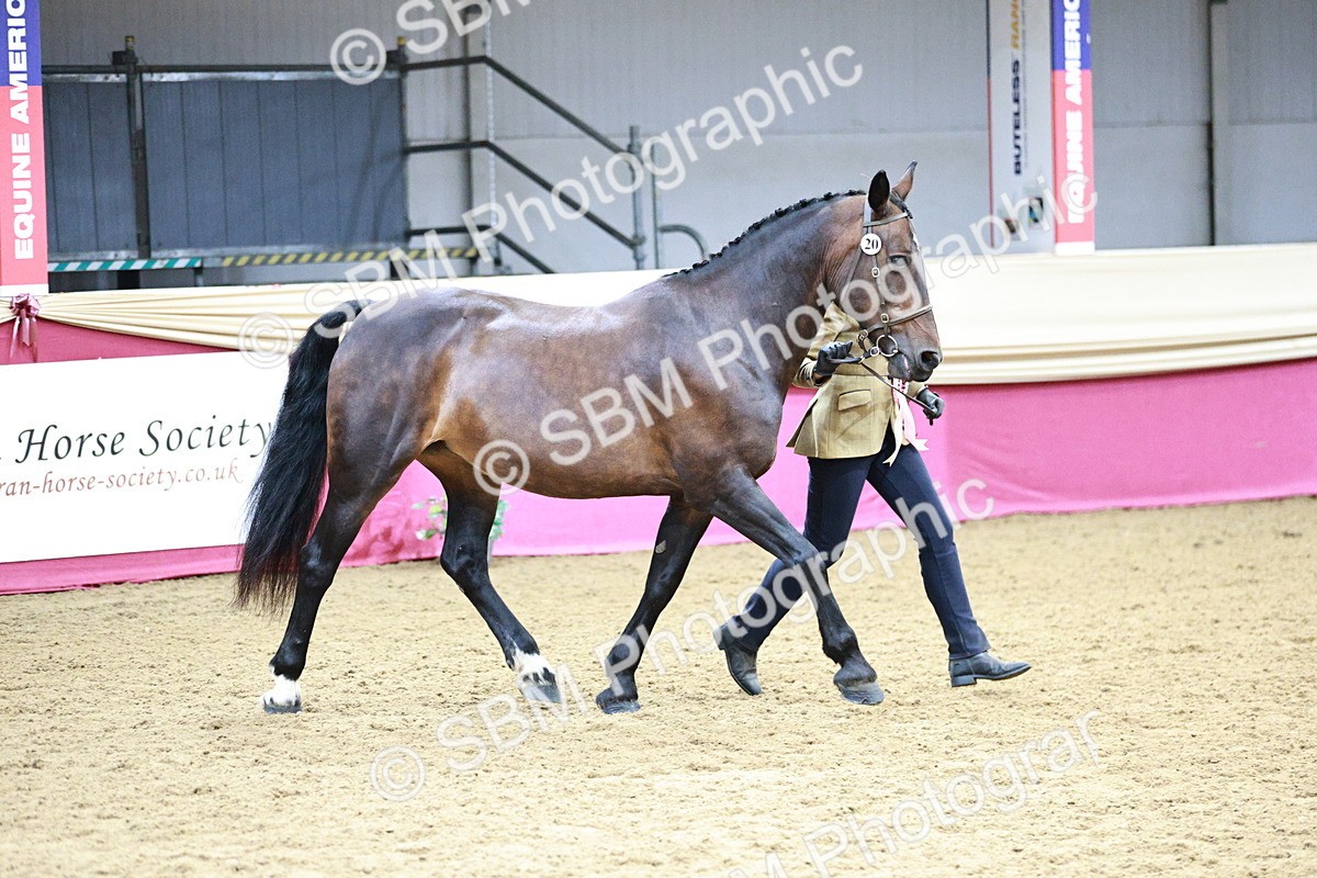 SBM_01111 - Class 2A - Area IH Veteran