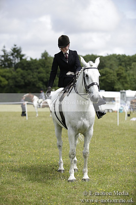 BVR160717-1966 - Side Saddle Classes 16/07/17