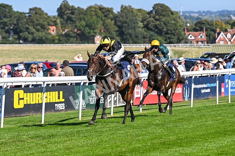 220926-Race 2-Bayraktar-3142 - Race 2 2.05pm Old Gravel Pits Lodges EBF Novice Stakes