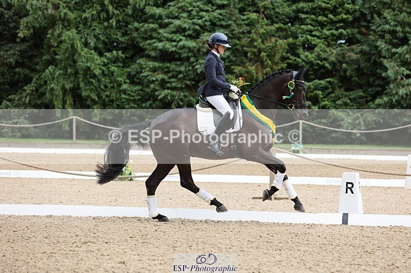 240810-132122-03319 - Medium Gold