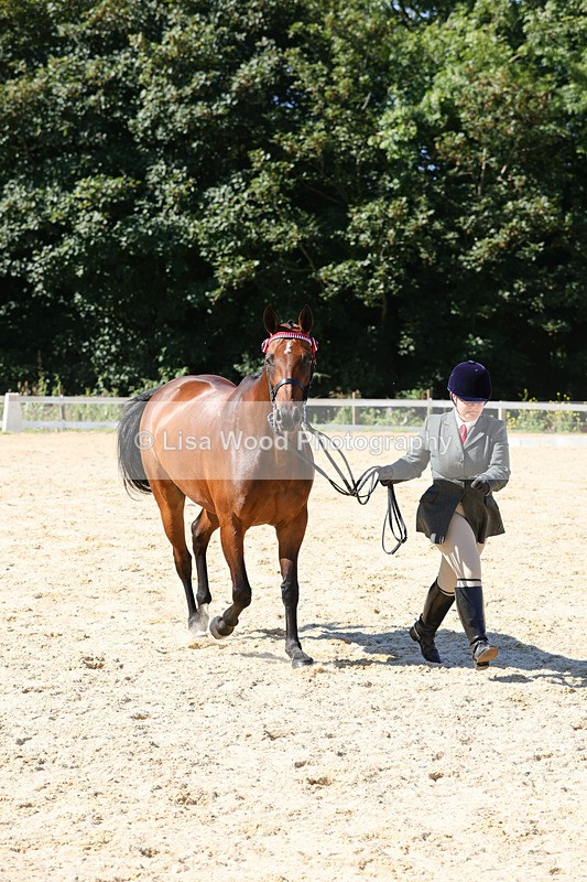 1X9A7924 - Class 10:Riding Horse