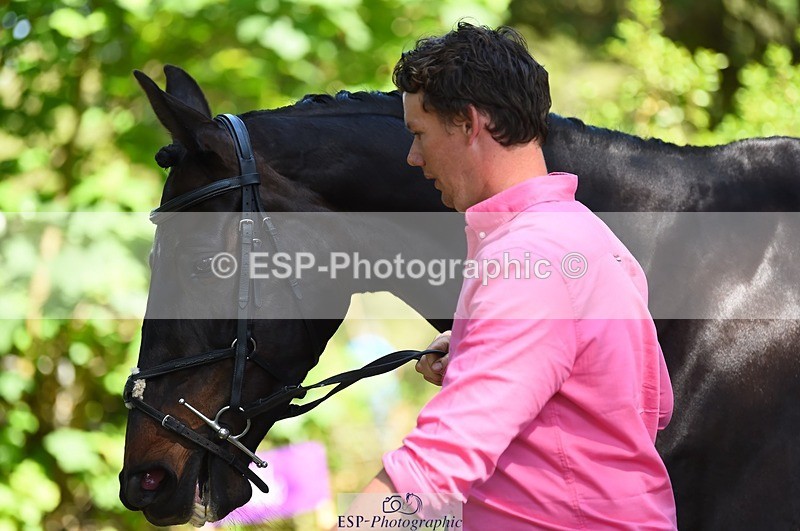 230524-154802-00514 - 363-RLE_KHALEESI_C-Christopher_Wincer-WEDTrotUp+DR