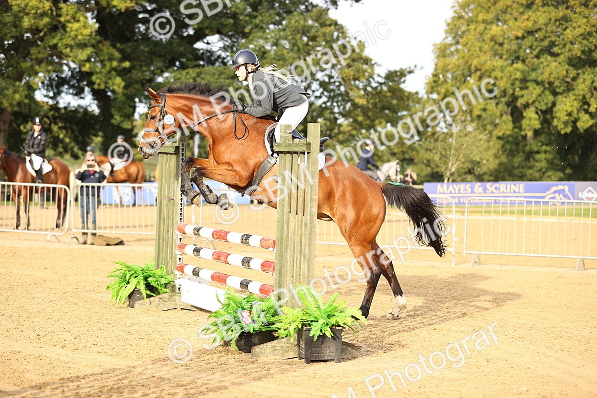 SBM_55186 - J62 - Clear Round 90cm