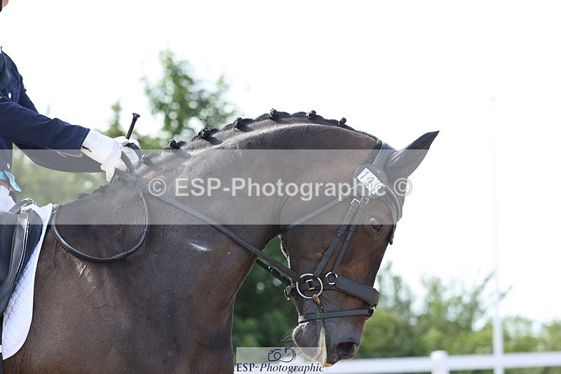 240622A-165903-14760 - Cls 38 BD FEI PSG