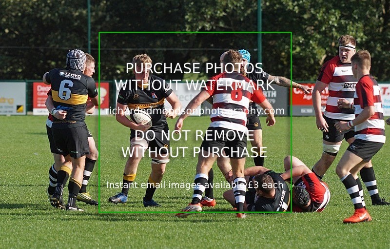 DSC00801 - Season 2019-20, Kendal Rugby v Percy Park
