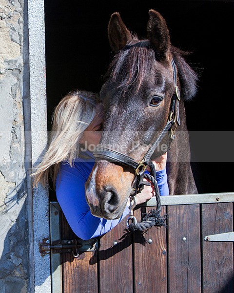 296010x8 - Equine Gallery Portfolio