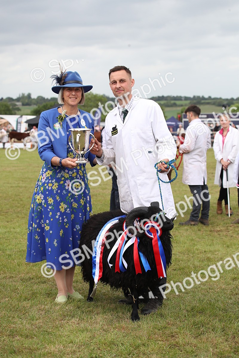 SBM_07894 - Grand Parade