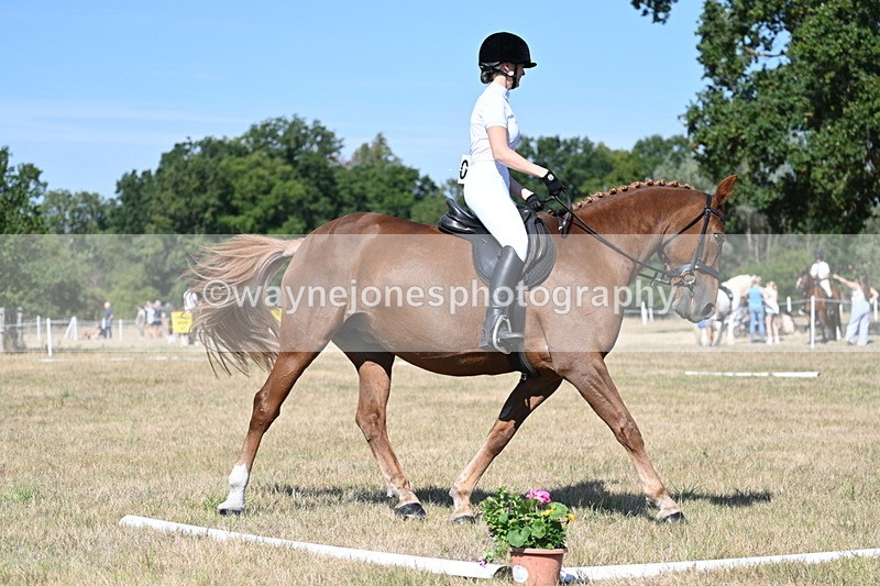 WJ7_0013 - Time 11:03 to 11:28