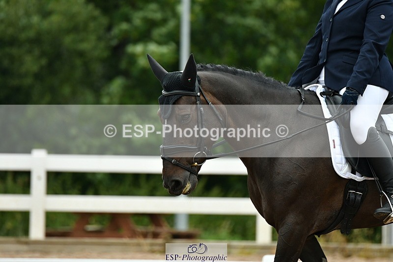 230708A-120021-01236 - Novice 23