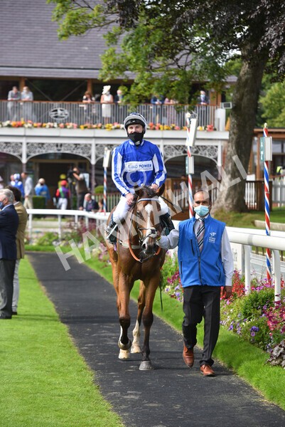 yr10072021r5-38 - Race 5: 4.05pm John Smith's Cup