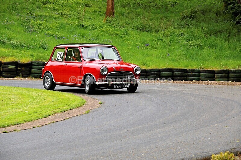 _56A1623 - MINI FESTIVAL 22ND May 2021