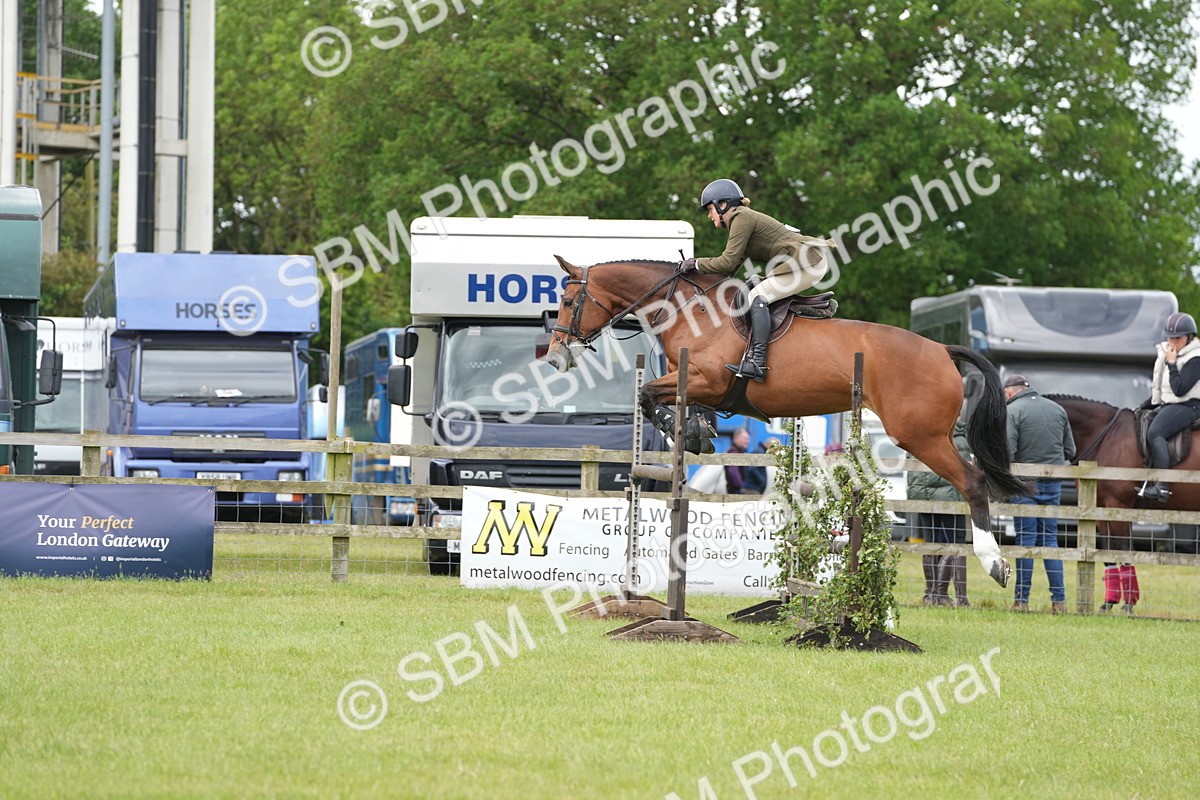 SBM_14963 - Class 100-102 - RIHS Working Hunter