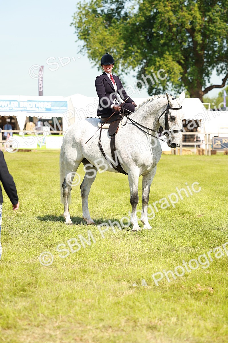 SBM_13210 - Class 70-71 - Side Saddle