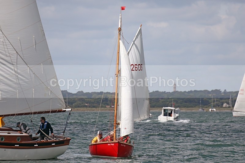 170603 - MISS NINJI - OLD GAFFERS 1Y3A3016 - YARMOUTH OLD GAFFERS RACE 3rd JUNE 2017