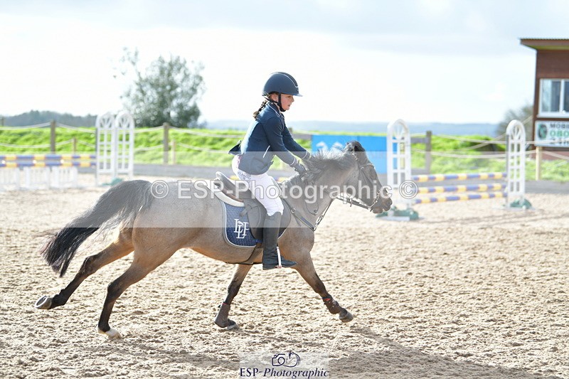 240211A-135416-03293 - Stepping Stones