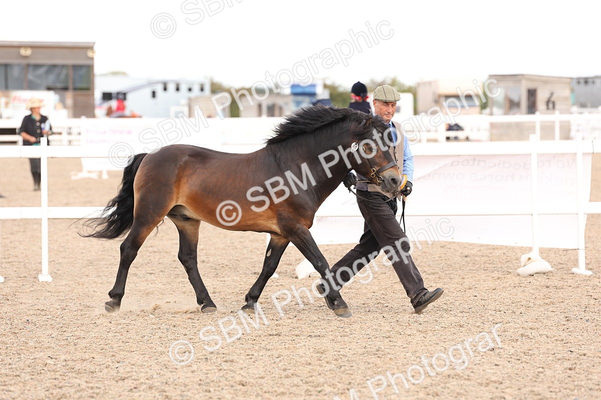 SBM_15154 - Class 209 - IH Veteran Pony