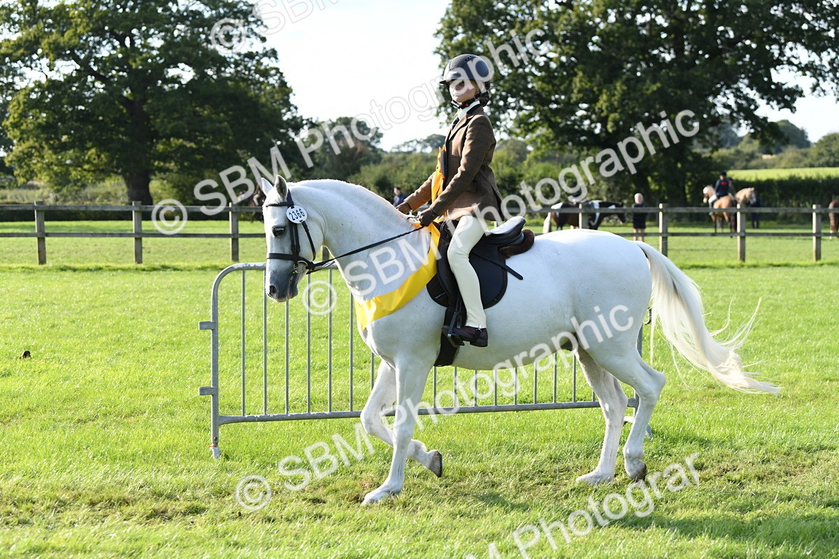SBM_52076 - S21 - Novice & Newcomers 1st Ridden Pony