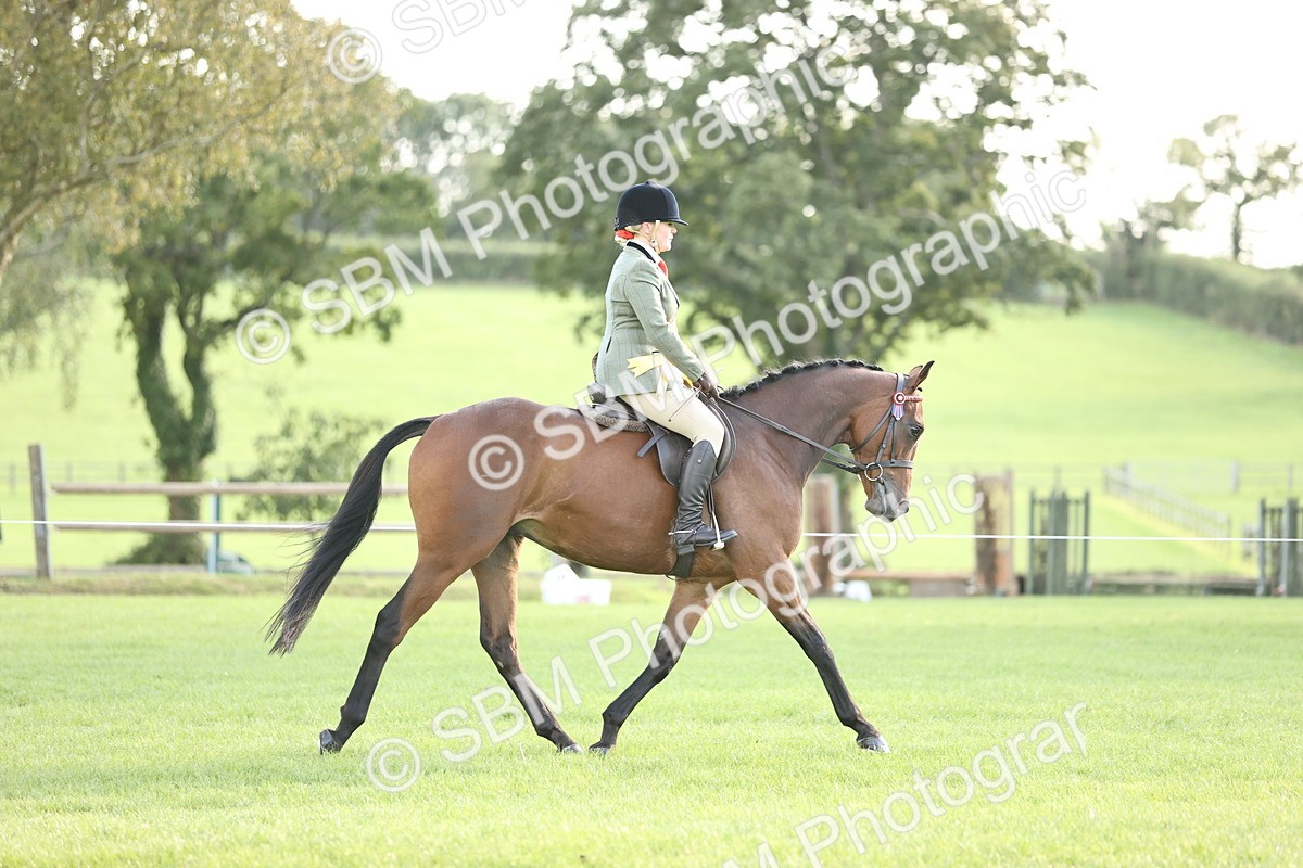 SBM_26513 - S6 - Novice & Newcomers Ridden Horse