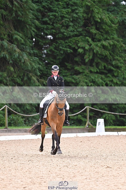 240809-104542-00380 - 173-Daisy.Winkle-Decandro.Hit.LDS