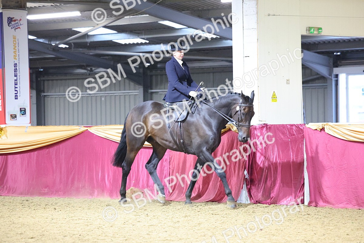 SBM_19289 - Class K Equitation Champ