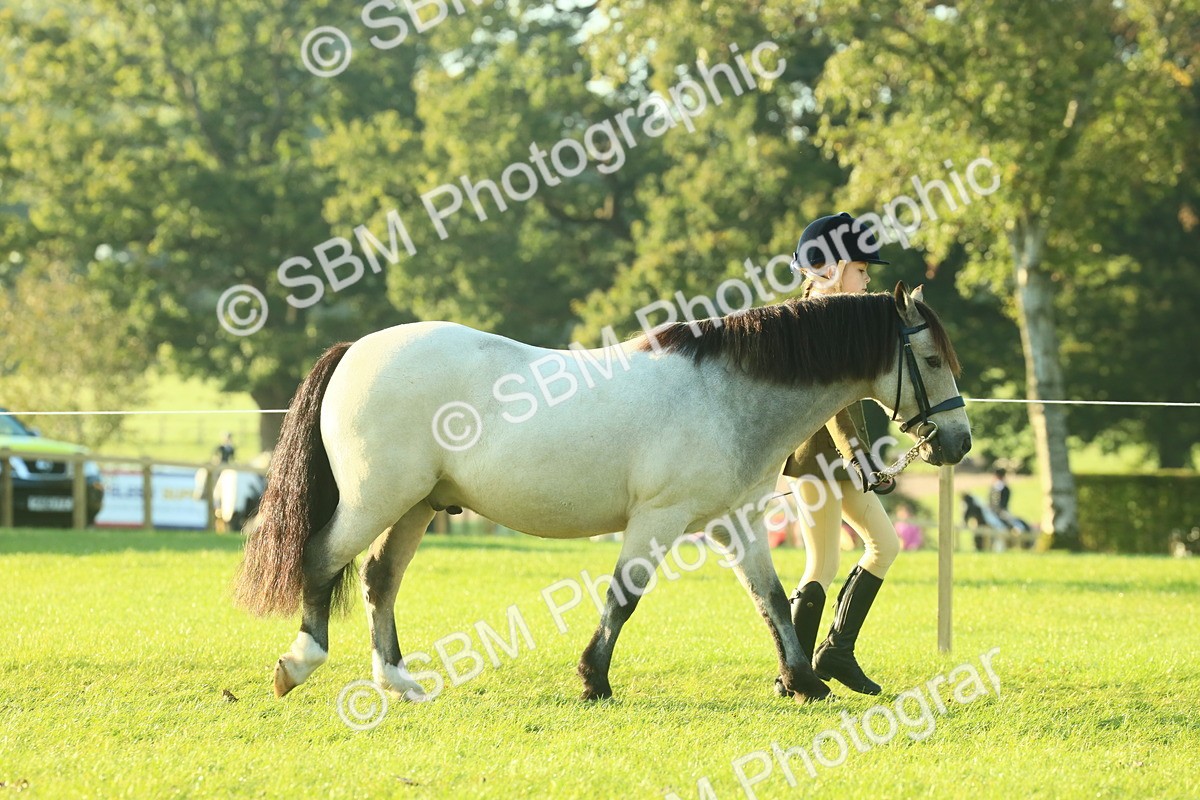 SBM_57302 - S37 - Starters In Hand Showing