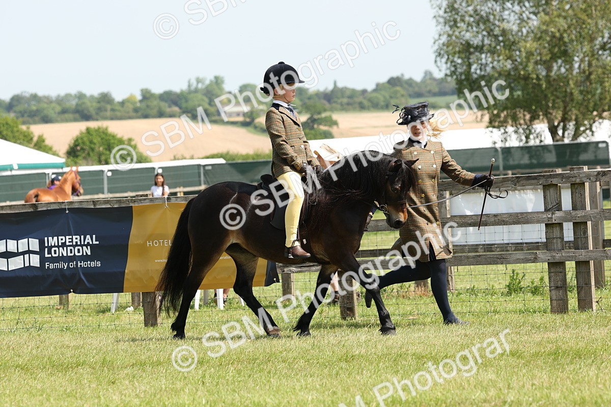 SBM_05201 - Class 24-25 - Mountain & Moorland In Hand Lead Rein and First Ridden