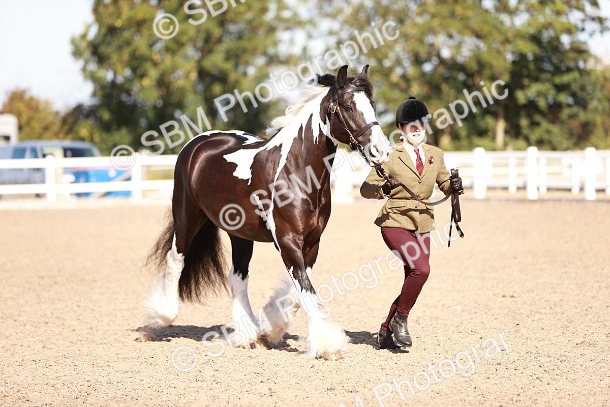SBM_12607 - Class 404 - IH Traditional - Native Cob