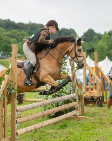 Dunblane show-449 - Dunblane and Doune Show Ring 1