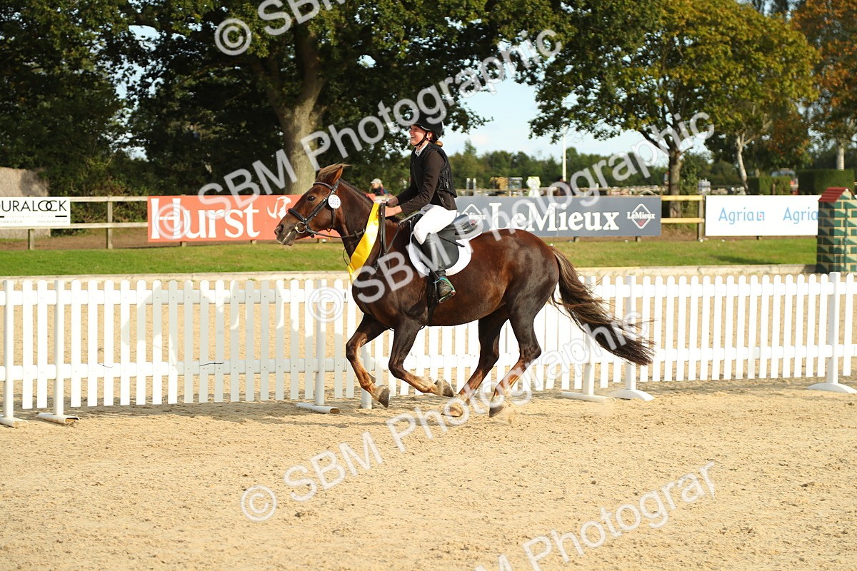 SBM_51769 - J7 - Junior Pony 60cm Championship