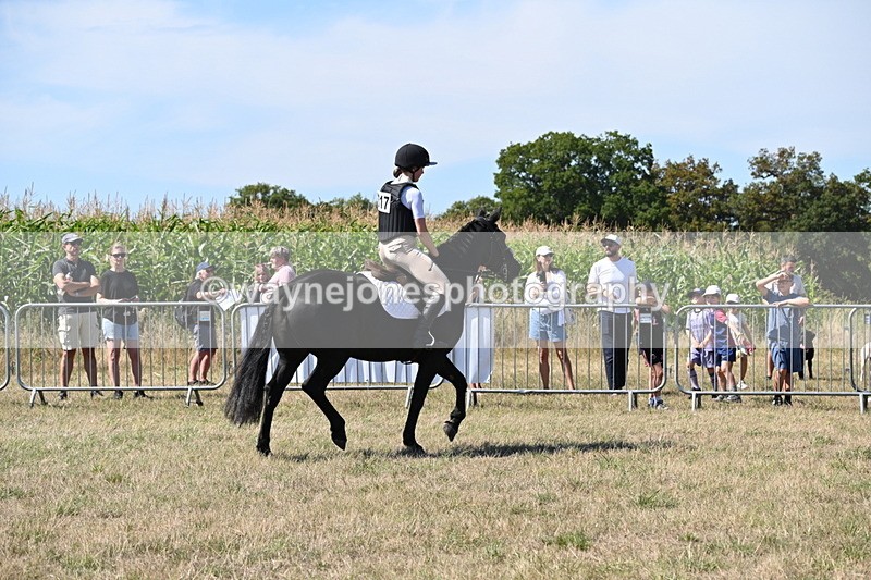 WJ6_8328 - Class 37a Best Loan Pony Ridden