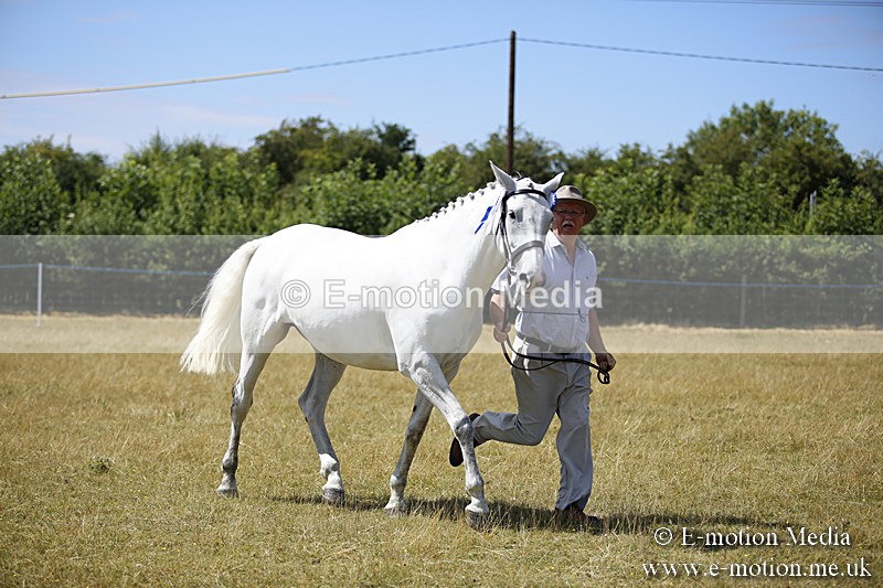 _C7A9809 - BVRC Sow 2018 Ring 2