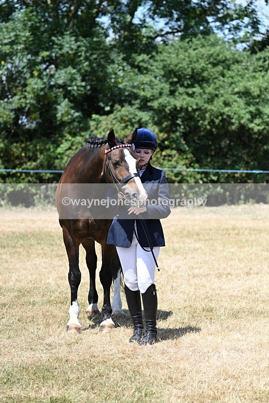 WJ7_2478 - Class 5a Most Handsome Gelding in hand (above 14.2hh)