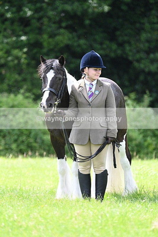 WJ7_1526 - Class 11 Condition & Turnout