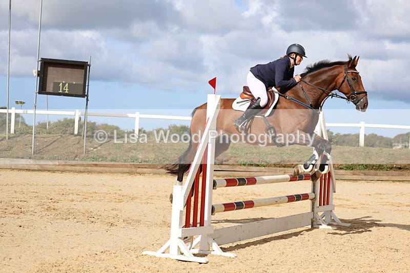 3E7A2130 - Class 4: Senior British Novice/90cm open