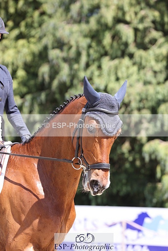 230526-134121-06373 - 367-ITAREUSO-Louisa_Lockwood-WEDTrotUp+DR