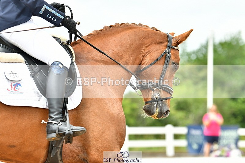 230701A-133724-06520 - Cls 10 Medium 69