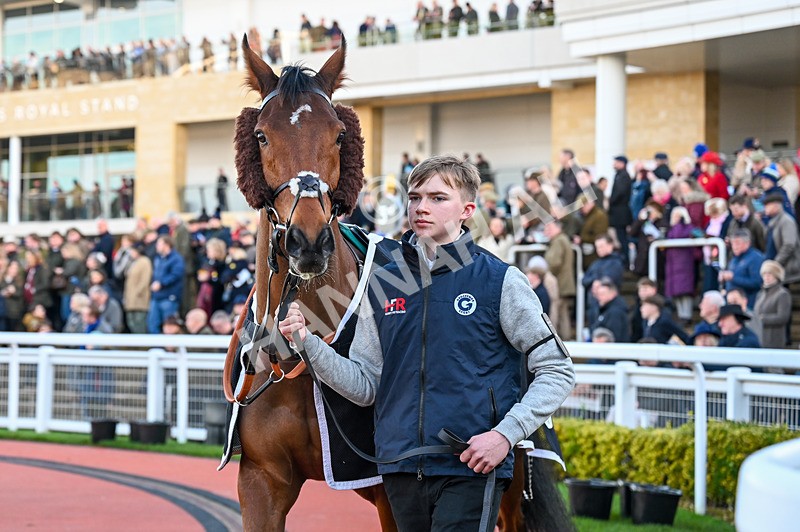 141224-Race 4-In Excelsis Deo-0690 - Race 4